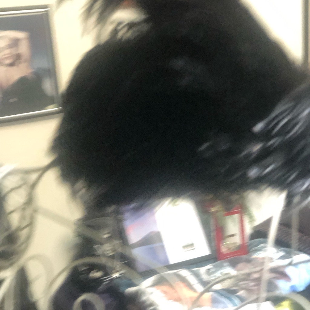 Elegant Black Feathered Women's Hat